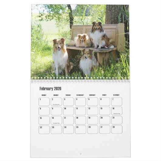 Rough Collie Calendar Kalender (Feb 2026)