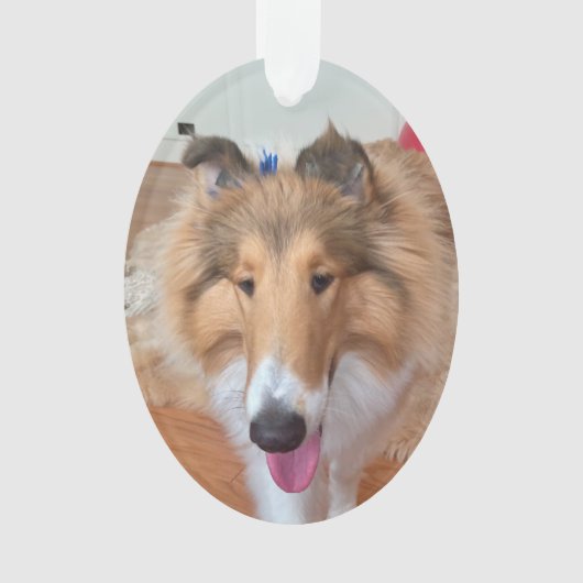 Rough Collie Dog Ornament (voorkant)