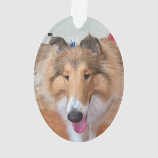 Rough Collie Dog Ornament (achterkant)