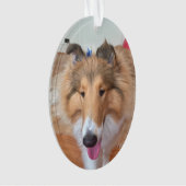 Rough Collie Dog Ornament (voorkant)
