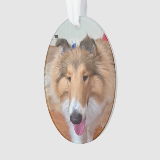 Rough Collie Dog Ornament (voorkant)