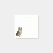 Rough Collie Dog