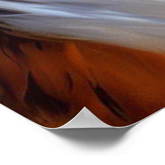 Rough Collie Dog Poster (Hoek)