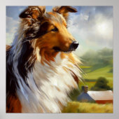 Rough Collie Dog Poster (Voorkant)