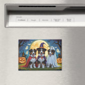 Rough Collie Dogs Pumpkin Halloween Grappig Magneet (Insitu (Vaatwasser))
