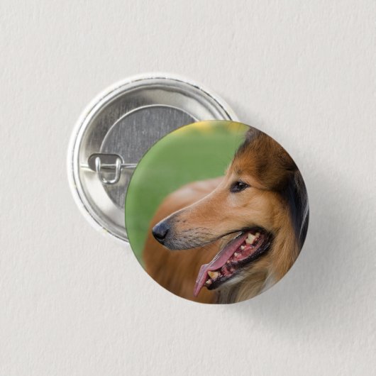 Rough Collie Face Ronde Button 3,2 Cm (Voorkant /achterkant)