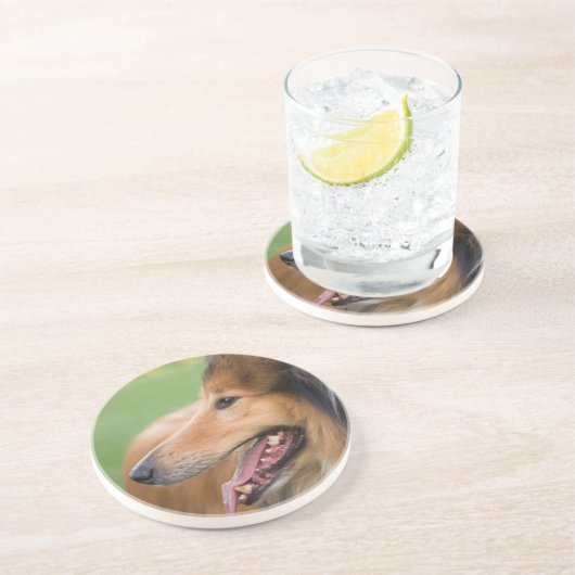 Rough Collie Face Zandsteen Onderzetter (Zijkant)