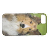 Rough Collie, hond Case-Mate iPhone Case (Achterkant (Horizontaal))