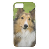 Rough Collie, hond Case-Mate iPhone Case (Achterkant)