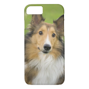 Rough Collie, hond iPhone 8/7 Hoesje