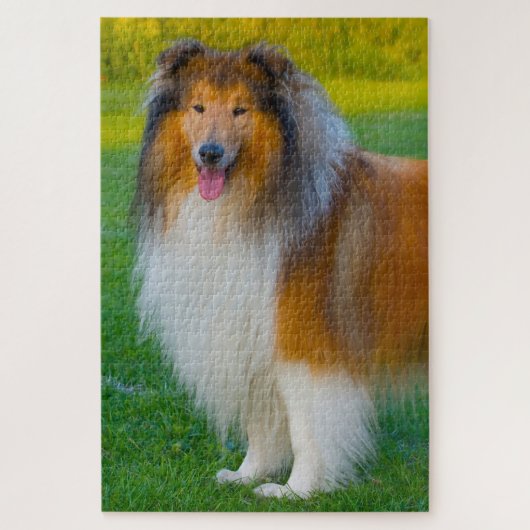 Rough Collie hond legpuzzels. Legpuzzel (Verticaal)