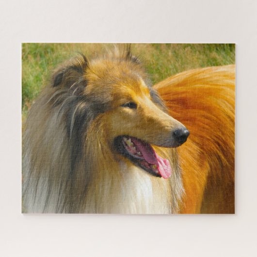 Rough Collie hond legpuzzels. Legpuzzel (Horizontaal)