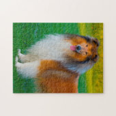Rough Collie hond legpuzzels. Legpuzzel (Horizontaal)