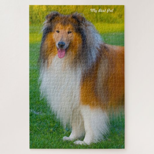 Rough Collie hond legpuzzels. Legpuzzel (Verticaal)