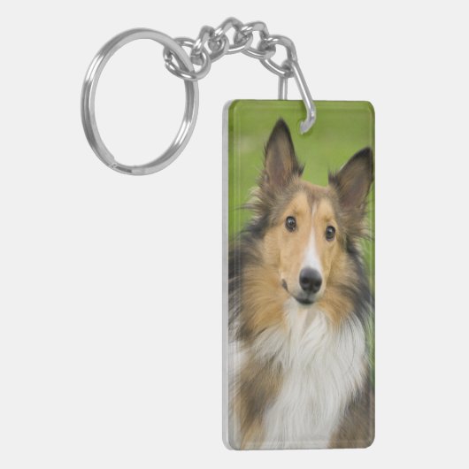 Rough Collie, hond Sleutelhanger (Voorkant Links)