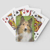 Rough Collie, hond Speelkaarten (Achterkant)