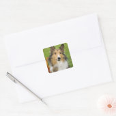Rough Collie, hond Vierkante Sticker (Envelop)