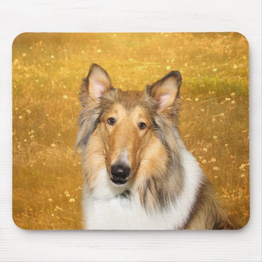 Rough Collie Muismat (Voorkant)