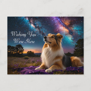 Rough Collie onder de sterren Briefkaart