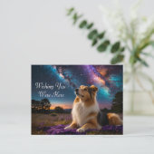 Rough Collie onder de sterren Briefkaart (Staand voorkant)