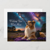 Rough Collie onder de sterren Briefkaart (Voorkant / Achterkant)