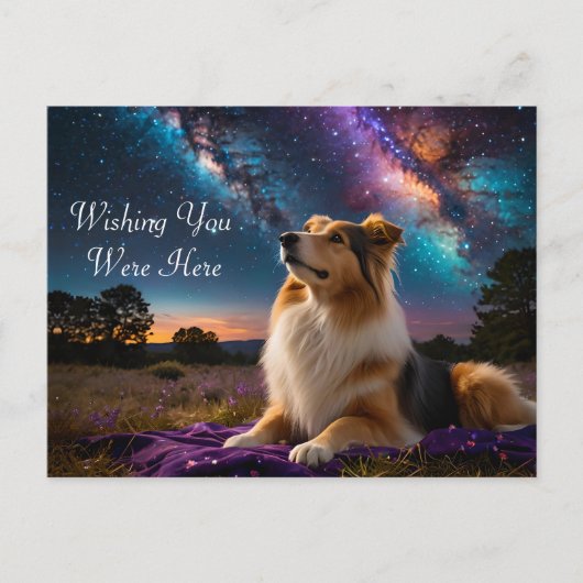 Rough Collie onder de sterren Briefkaart (Voorkant)