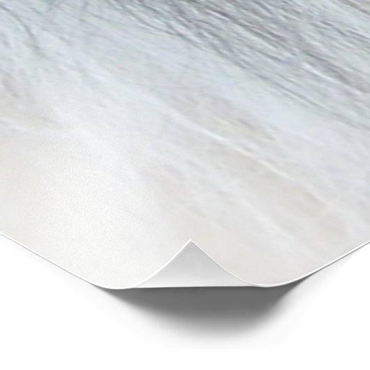 Rough Collie Portrait Foto Afdruk (Hoek)