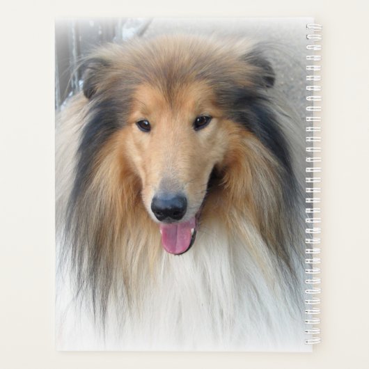 Rough Collie Portrait Planner (Achterkant)