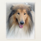 Rough Collie Portrait Planner (Voorkant)