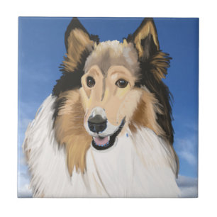 Rough Collie Portrait tegen blauwe hemel Tegeltje