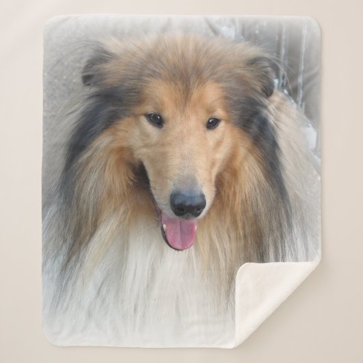 Rough Collie portret Sherpa Deken (Voorkant)