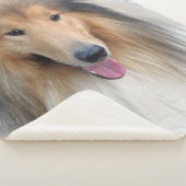 Rough Collie portret Sherpa Deken (3/4)