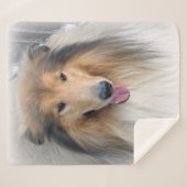 Rough Collie portret Sherpa Deken (Voorkant (horizontaal))