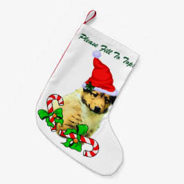 Rough Collie Puppy Kerstmis Kleine Kerstsok