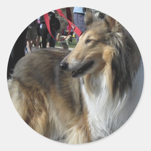 Rough Collie Sticker (Voorkant)