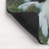 Rough Collies Muismat (Hoek)