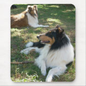 Rough Collies Muismat (Voorkant)