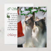 Rough Collies Ontmoet Santa Christmas Kaart (Voorkant / Achterkant)