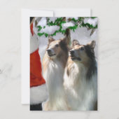 Rough Collies Ontmoet Santa Christmas Kaart (Voorkant)