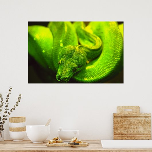Rough Green Snake - Poster (Keuken)