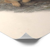  Rough Legged Buzzard Bird Poster (Hoek)