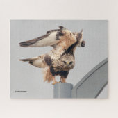 Rough-Legged Hawk Op Een Lamppost Legpuzzel (Horizontaal)