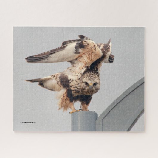 Rough-Legged Hawk Op Een Lamppost Legpuzzel (Horizontaal)