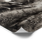 Rough Riders: Kolonel Theodore Roosevelt Poster (Hoek)