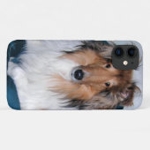Rough Sable Collie Case-Mate iPhone Case (Achterkant (horizontaal))