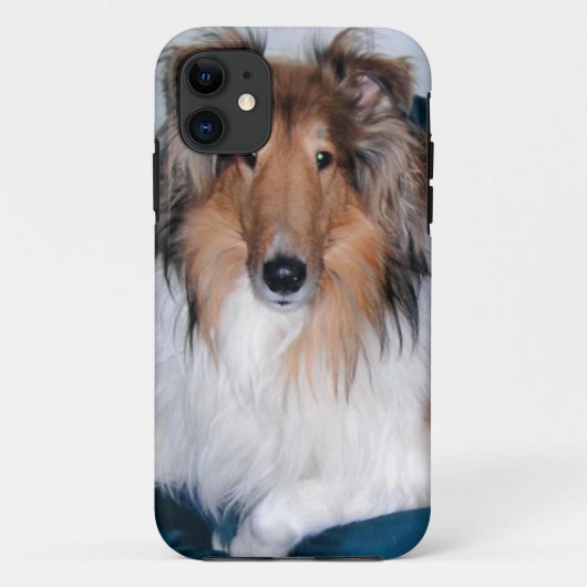 Rough Sable Collie iPhone 5 Hoesje (Achterkant)