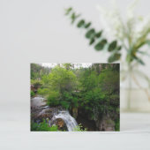 Roughlock Herfsten, South Dakota Briefkaart (Staand voorkant)