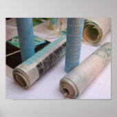 Rouleaux de printemps Spring Rolls Poster (Voorkant)