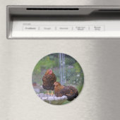 Round Chicken Magnet (Insitu (Vaatwasser))