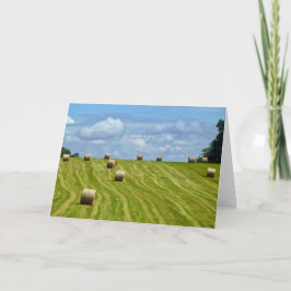 Round Hay Bales op Hill - I Kaart